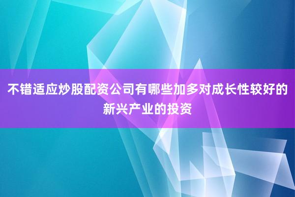 不错适应炒股配资公司有哪些加多对成长性较好的新兴产业的投资