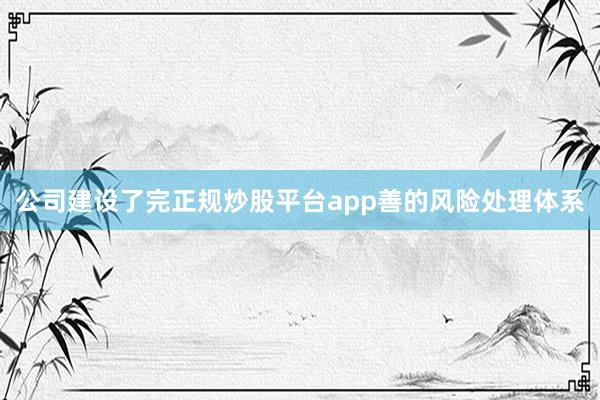 公司建设了完正规炒股平台app善的风险处理体系
