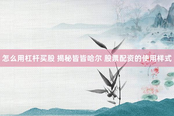 怎么用杠杆买股 揭秘皆皆哈尔 股票配资的使用样式